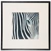 Image 3 : Three framed photographs of zebras.