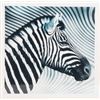 Image 4 : Three framed photographs of zebras.