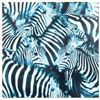 Image 7 : Three framed photographs of zebras.