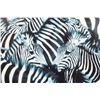Image 8 : Three framed photographs of zebras.
