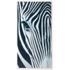 Image 9 : Three framed photographs of zebras.