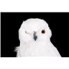 Image 2 : Owl ornament.