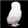 Image 3 : Owl ornament.