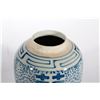 Image 7 : Two Chinese blue and white jars.
