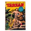 Image 1 : Tarzan and The Lone Hunter