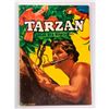 Image 1 : Tarzan
