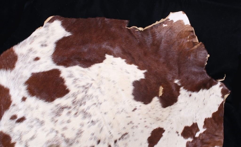 Montana Tanned Hereford Cow Hide
