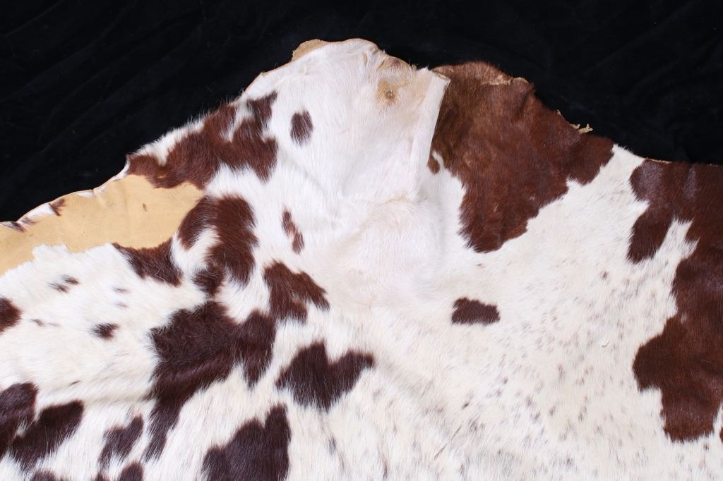 tanned equine and bovine hides tanned equine and bovine hides