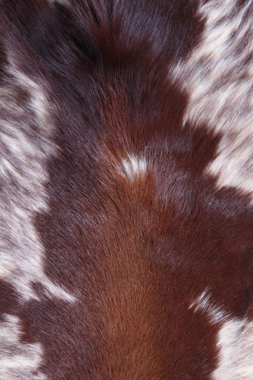 Montana Tanned Hereford Cow Hide