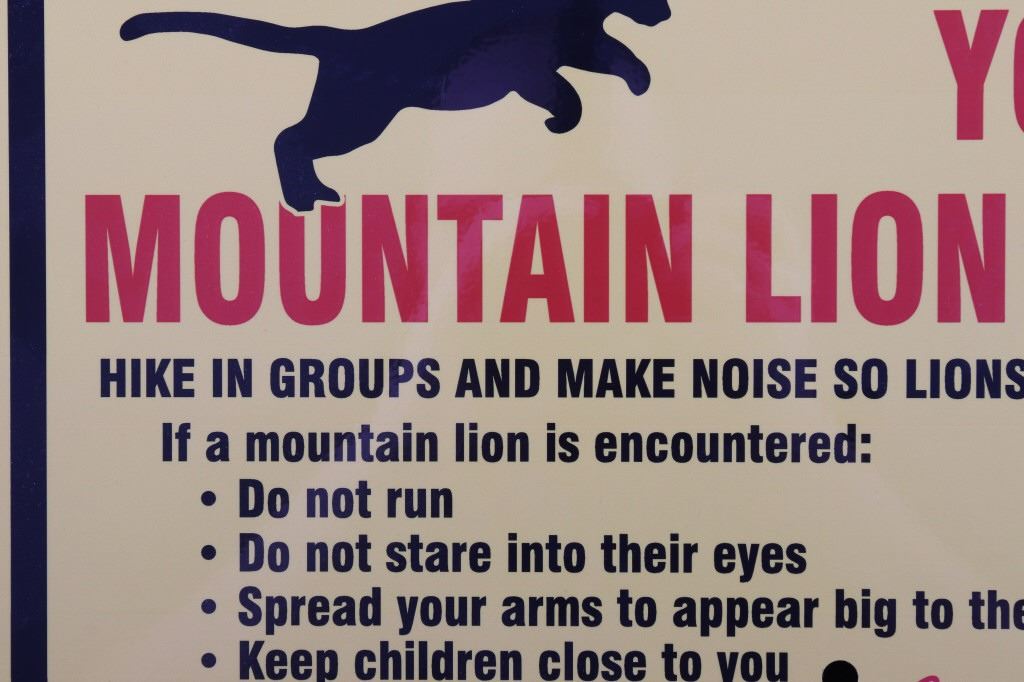 Mountain Lion Warning Sign from Canada