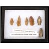 Image 11 : Native American Pre-Historic Artifacts & Tools