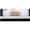 Image 7 : Native American Pre-Historic Artifacts & Tools