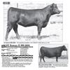 Image 1 : Lot - 12D - ICC Barbara K 905-9684