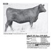 Image 1 : Lot - 42D - ICC BV Erica 4190-8629