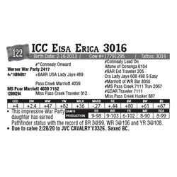 Lot - 122 - ICC Eisa Erica 3016