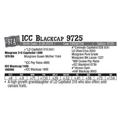 Lot - 97A - ICC Blackcap 9725