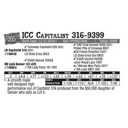 Lot - 205 - ICC Capitalist 316-9399