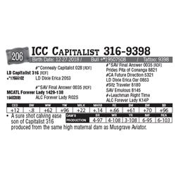 Lot - 206 - ICC Capitalist 316-9398
