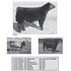 Image 1 : Lot - 315 - ICC Club Calf Embryos