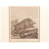 Image 3 : M.E. Ridinger Pair 18th C. Engravings
