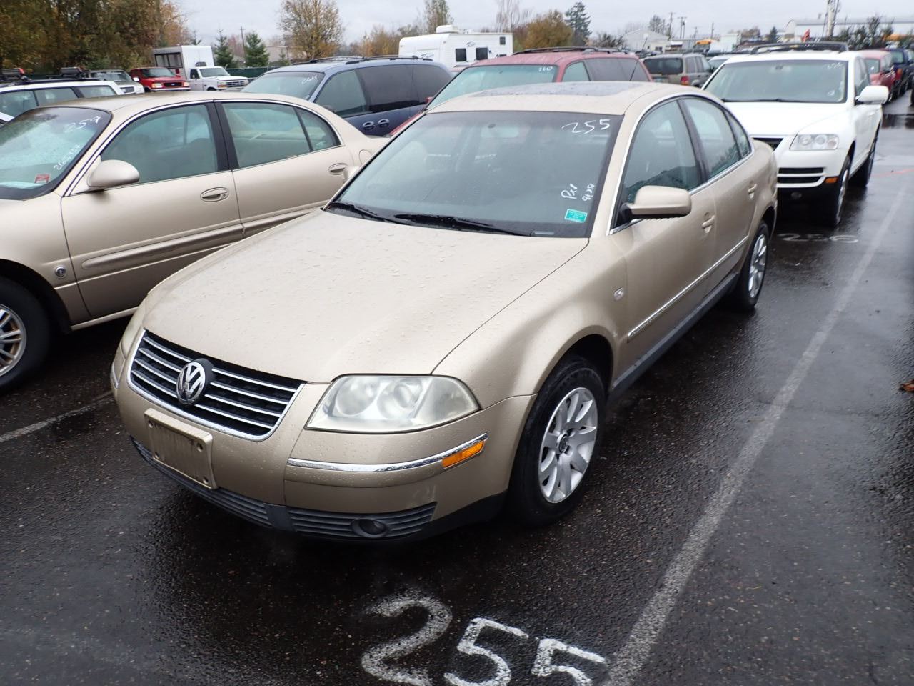 2001 Volkswagen Passat - Speeds Auto Auctions