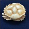 Image 2 : Rare Harmony Kingdom Collectible Crab Box