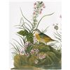 Image 1 : c1946 Audubon Print #130 Grasshopper Sparrow