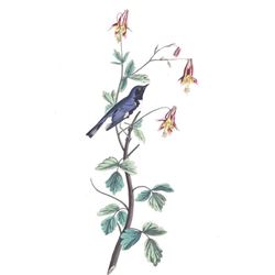 c1946 Audubon Print #155 Black-Throated Blue Warbler