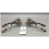 Image 7 : Large Rowell Chilean Spurs