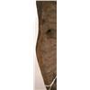 Image 4 : AN OLD PUNU ANCESTOR MASK,of wood, the convex vis