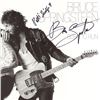 Image 1 : Bruce Springsteen Born to Run signed Album