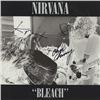 Image 1 : Nirvana Bleach signed Album
