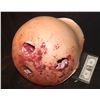 Image 2 : AVPR PREGNANT BELLY PREDALIEN CHEST BURSTERS EXPLODE FROM