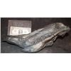 Image 2 : ALIEN VS PREDATOR SCREEN USED HERO FOOT