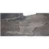 Image 2 : ALIEN VS PREDATOR SCREEN USED ARM SECTION