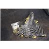 Image 2 : ALIEN VS PREDATOR SCREEN USED FULL CHEST AND BACK