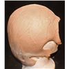 Image 2 : CREATURE ALIEN DEMON SKULL CAP APPLIANCE