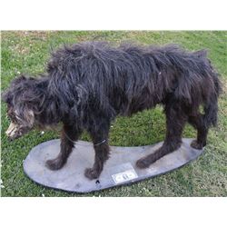 WOLF MICHELLE PFIEFER STATIC WEREWOLF