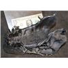 Image 1 : ALIEN VS PREDATOR SCREEN USED LOWER JAW