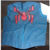 Image 1 : SPIDER-MAN BACK WITH GLYPH THE VERY LAST AND VERY BEST!