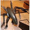 Image 3 : ALIEN VS PREDATOR 1/2 SCALE STATUES VERY RARE PROMO FROM WORLD PREMIERE