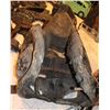 Image 5 : ALIEN RESURRECTION SCREEN MATCHED ALIEN QUEEN THAT GIVES BIRTH TO NEWBORN