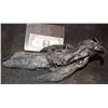 Image 2 : ALIEN VS PREDATOR SCREEN USED STUNT FOOT 3