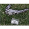 Image 1 : THE THING BURNT FROZEN ALIEN CLAW 5