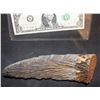 Image 2 : TREMORS GRABOID SCREEN USED FOOT 3