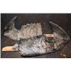 Image 2 : TREMORS GRABOID SET OF LOWER HOOK JAWS