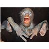 Image 2 : EVOLUTION BLUE PRIMATE SCREEN USED HERO ANIMATRONIC HEAD WITH MECHANISMS INTACT