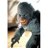 Image 2 : EVOLUTION BLUE PRIMATE FEET MATCHED PAIR 3