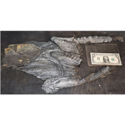 ALIEN VS PREDATOR SCREEN USED ARM SECTION