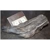 Image 2 : ALIEN VS PREDATOR SCREEN USED HERO FOOT WITH TOM WRITTEN INSIDE